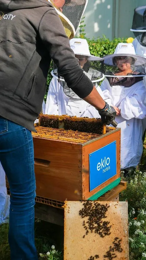 Eklo Hotels Lille